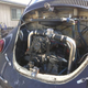 Image for article titled For $5,500, Keep This Beetle Weird